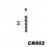 CR802 - 51x6mm