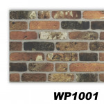 WP1001