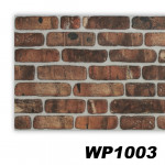 WP1003