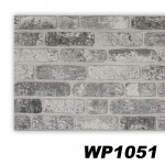 WP1051